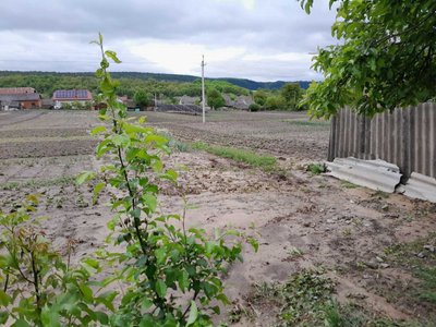Негода на Тернопільщині, село Росохач, затопило дорогу, затопило, намул, сильні дощі, травень 2025 Негода на Тернопільщині, село Росохач, затопило дорогу, затопило, намул, сильні дощі, травень 2025