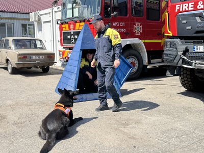 У кінологічному підрозділі полтавських рятувальників з’явилися дві собаки, які навчались у Камбоджі У кінологічному підрозділі полтавських рятувальників з’явилися дві собаки, які навчались у Камбоджі