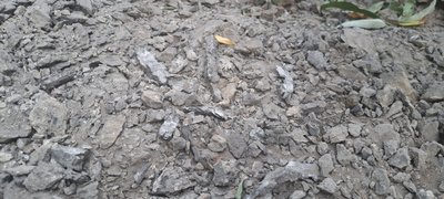 обстріл наслідки армії РФ Костянтинівка Донецька область 13 вересня 2024 рік обстріл наслідки армії РФ Костянтинівка Донецька область 13 вересня 2024 рік