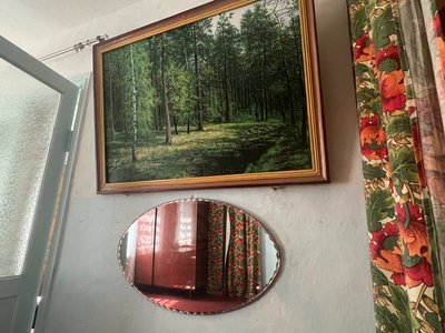 Все життя з пензлем у руках: 77-річна черкащанка розмалювала селище, у якому живе Все життя з пензлем у руках: 77-річна черкащанка розмалювала селище, у якому живе