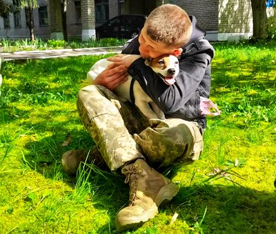 Тварини у новинах: яким був 2025 рік для чотирилапих на Житомирщині Тварини у новинах: яким був 2025 рік для чотирилапих на Житомирщині