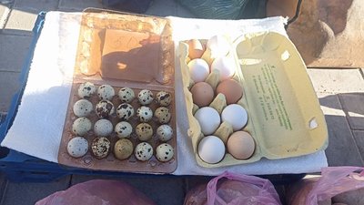 Зростають ціни на яйця: скільки коштує цей продукт в Житомирі та від чого залежить його ціна Зростають ціни на яйця: скільки коштує цей продукт в Житомирі та від чого залежить його ціна
