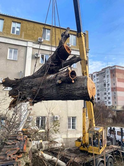 В Одесі після негоди залишаються поваленими дерева та великі гілки на 86 локаціях — мерія В Одесі після негоди залишаються поваленими дерева та великі гілки на 86 локаціях — мерія