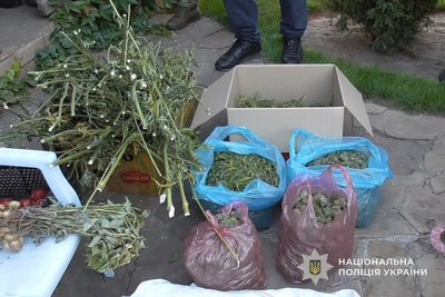 Вирощували та зберігали наркотики: підозрюють двох мешканців Дніпропетровщини Вирощували та зберігали наркотики: підозрюють двох мешканців Дніпропетровщини