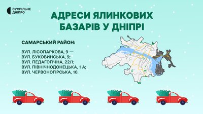 У Дніпрі визначили місця продажу ялинок