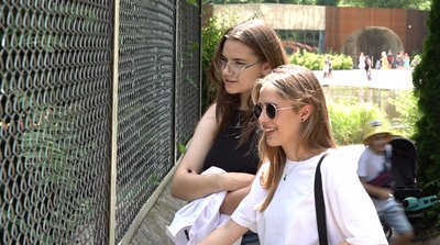 Європейські косулі, фазани та червонокнижні качки: у черкаському зоопарку поповнення Європейські косулі, фазани та червонокнижні качки: у черкаському зоопарку поповнення