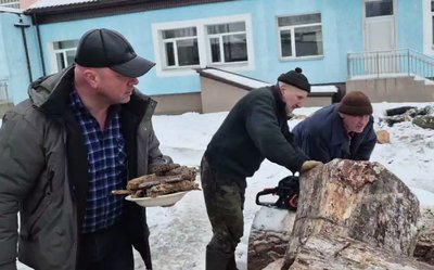 У дровах для школи знайшли борть із трьома кілограмами меду диких бджіл: історія з Олевська У дровах для школи знайшли борть із трьома кілограмами меду диких бджіл: історія з Олевська