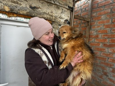 Конфлікт сусідів із зооволонтерами у Полтаві: як вирішують питання Конфлікт сусідів із зооволонтерами у Полтаві: як вирішують питання