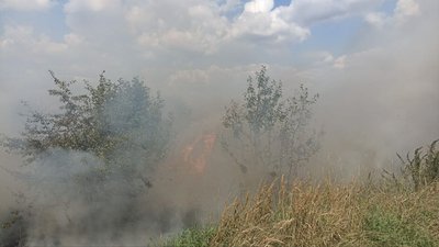 Пожежа сухої трави у Стрийському районі