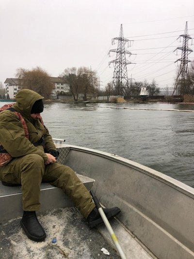Забруднення Ладижинського водосховища: чи є загроза для риби та екосистеми Забруднення Ладижинського водосховища: чи є загроза для риби та екосистеми