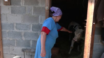 Жителі Рівненщини готуються до зими. Як це відбувається у прикордонному селі Жителі Рівненщини готуються до зими. Як це відбувається у прикордонному селі