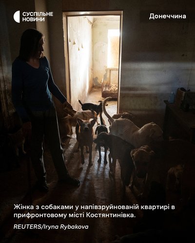 Жінка з собаками у напівзруйнованій квартирі в прифронтовому місті Костянтинівка Жінка з собаками у напівзруйнованій квартирі в прифронтовому місті Костянтинівка