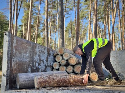 Лісництво Гути Лісництво Гути