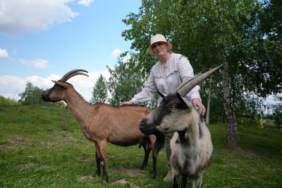 Біодинамічна козина ферма, Мирослава Волощук, кози, Коломийщина Біодинамічна козина ферма, Мирослава Волощук, кози, Коломийщина