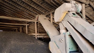 Кіровоградська область перша в Україні за обсягами зібраного соняшнику Кіровоградська область перша в Україні за обсягами зібраного соняшнику