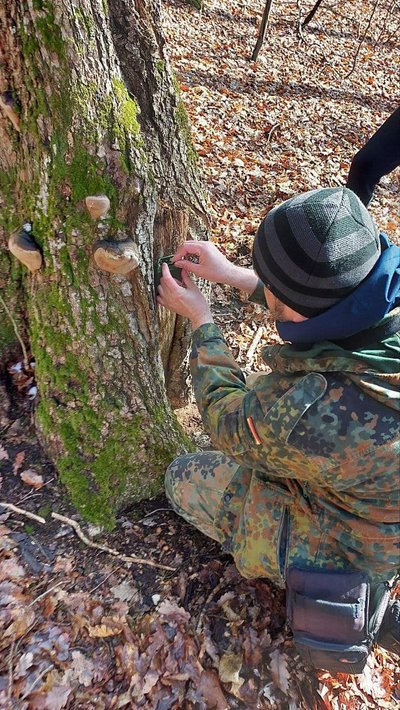 Вперше зафіксували новий вид птахів на Рівненщині Вперше зафіксували новий вид птахів на Рівненщині