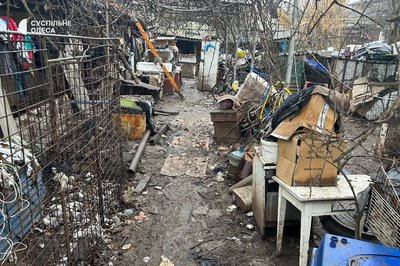 "Стоїть їдкий трупний запах": в Ізмаїлі з "чорного" розплідника вилучили десятки тварин