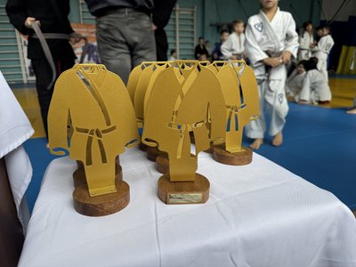 У Сумах відбувся турнір з бразильського джиу-джитсу У Сумах відбувся турнір з бразильського джиу-джитсу