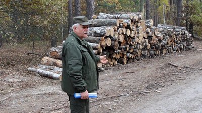 Жителі прикордоння Сумщини можуть безоплатно забирати рештки після заготівлі деревини Жителі прикордоння Сумщини можуть безоплатно забирати рештки після заготівлі деревини
