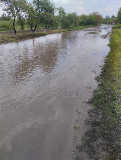 Володимир Петровський