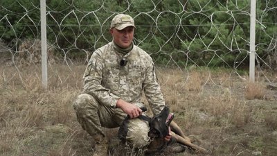"Не уявляю службу без неї": як собака Барбі допомагає охороняти кордон Рівненщини з Республікою Білорусь "Не уявляю службу без неї": як собака Барбі допомагає охороняти кордон Рівненщини з Республікою Білорусь