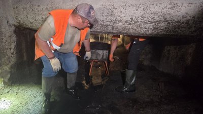 У якому стані дощовий колектор у Миколаєві У якому стані дощовий колектор у Миколаєві