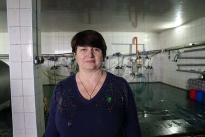 "За день отримуємо близько 4 тонн молока": як працює племінне господарство на Сумщині "За день отримуємо близько 4 тонн молока": як працює племінне господарство на Сумщині