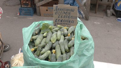 Сезон огірків: які ціни на вінницьких ринках Сезон огірків: які ціни на вінницьких ринках