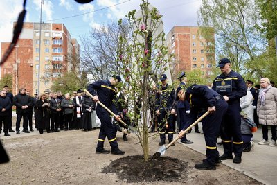 Рятувальники посадили магнолію Рятувальники посадили магнолію