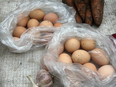 У Житомирі зросли ціни на яйця: що кажуть продавці та експерти У Житомирі зросли ціни на яйця: що кажуть продавці та експерти