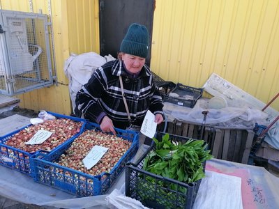 Зривати та продавати заборонено. У Кропивницькому штрафують за продаж червонокнижних рослин Зривати та продавати заборонено. У Кропивницькому штрафують за продаж червонокнижних рослин