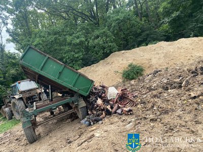 Скотобійня у Великому Тростянці на Полтавщині: справу щодо фермера передали до суду