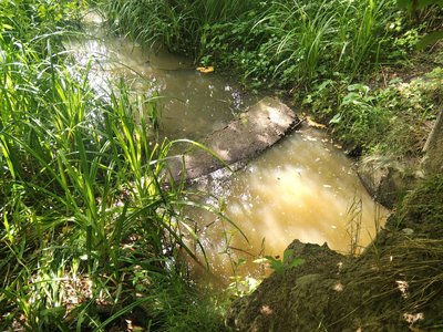 Вода після скиду невідомої речовини Вода після скиду невідомої речовини