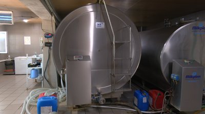 На Черкащині падають надої молока: як це вплине на ціни На Черкащині падають надої молока: як це вплине на ціни