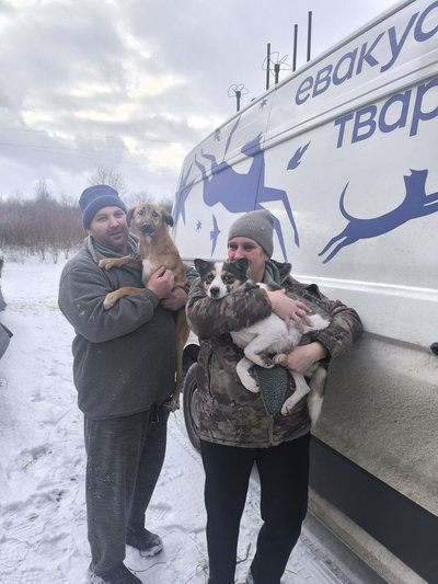 Майже 200 тварин і двоє працівників: як працює притулок у Хмельницькому Майже 200 тварин і двоє працівників: як працює притулок у Хмельницькому