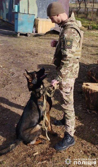 На Львівщині правоохоронці за допомогою службової вівчарки знайшли викрадений сейф На Львівщині правоохоронці за допомогою службової вівчарки знайшли викрадений сейф