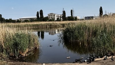 Понад 200 років історії: як змінювався парк "Ліски" в Миколаєві Понад 200 років історії: як змінювався парк "Ліски" в Миколаєві