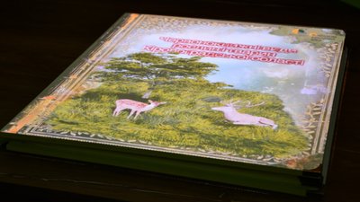 "Нам важливо щоб музей став доступним", – співробітниці кропивницького краєзнавчого музею "Нам важливо щоб музей став доступним", – співробітниці кропивницького краєзнавчого музею
