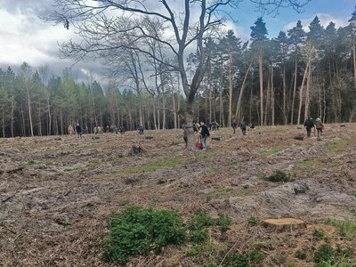 На Волині створюють "Ліс пам’яті" на честь загиблого воїна-лісівника На Волині створюють "Ліс пам’яті" на честь загиблого воїна-лісівника