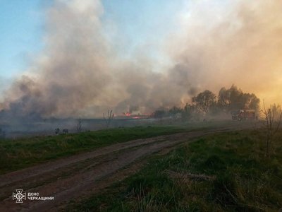 На Черкащині за добу сталося вигоріло 12 гектарів сухостою