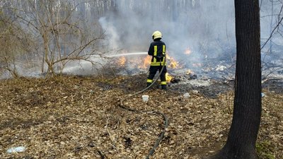 На Черкащині горів сухостій На Черкащині горів сухостій