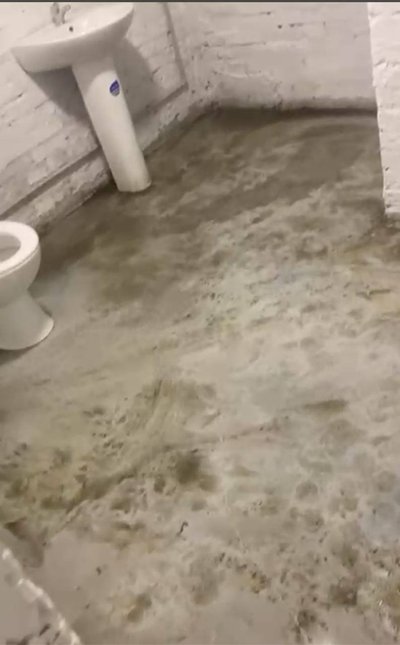 новина новина