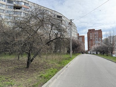 Через квітневі заморозки на Полтавщині померзли абрикоси: чи буде врожай 2025-го року Через квітневі заморозки на Полтавщині померзли абрикоси: чи буде врожай 2025-го року