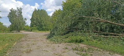 Буревій на Житомирщині: знеструмлено понад 20 тисяч осель та пошкоджено сотні будинків Буревій на Житомирщині: знеструмлено понад 20 тисяч осель та пошкоджено сотні будинків