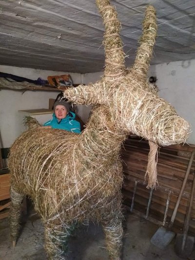 10 років створює іграшки з сіна: як жителька Борислава на Львівщині перетворила хобі на власну справу 10 років створює іграшки з сіна: як жителька Борислава на Львівщині перетворила хобі на власну справу