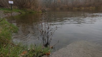 Перша риба та прозора вода: рибалки з Чернігівщини про відновлення річки Сейм після забруднення Перша риба та прозора вода: рибалки з Чернігівщини про відновлення річки Сейм після забруднення