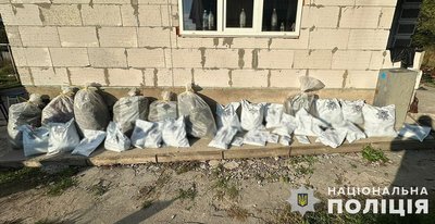 На Житомирщині затримали групу, яка займалася вирощуванням і збутом наркотиків На Житомирщині затримали групу, яка займалася вирощуванням і збутом наркотиків