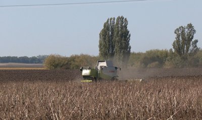 Комбайн, соняшник, збір соняшника Комбайн, соняшник, збір соняшника