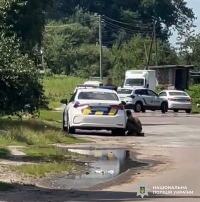 Погрожував гранатою: на Житомирщині поліцейські затримали озброєного чоловіка Погрожував гранатою: на Житомирщині поліцейські затримали озброєного чоловіка