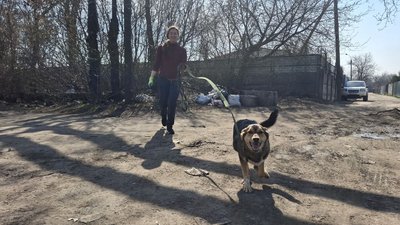 "Кожен заслуговує на любов": у Черкасах щовихідних усі охочі вигулюють тварин в притулку "Кожен заслуговує на любов": у Черкасах щовихідних усі охочі вигулюють тварин в притулку
